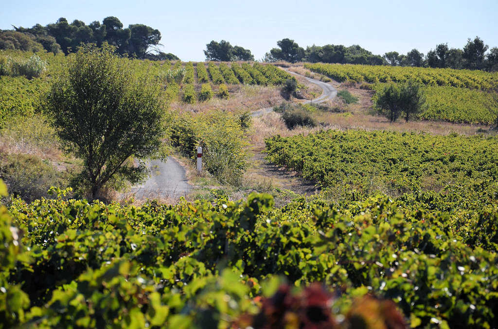 Le domaine de saliès