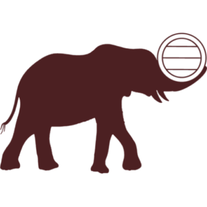 Logo domaine de Saliès