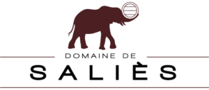 Logo domaine de Saliès