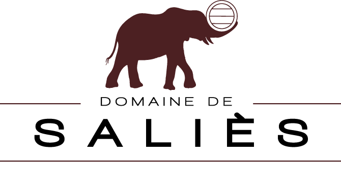 Logo domaine de Saliès