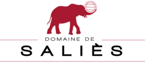 Logo domaine de Saliès