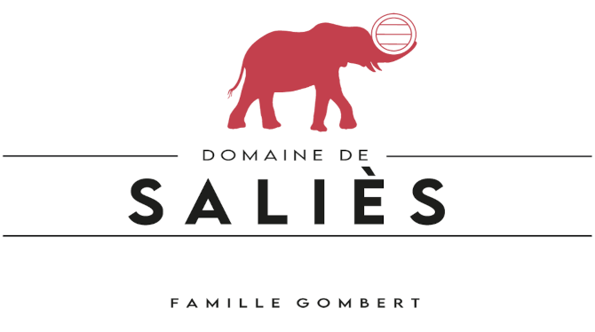 Logo domaine de Saliès