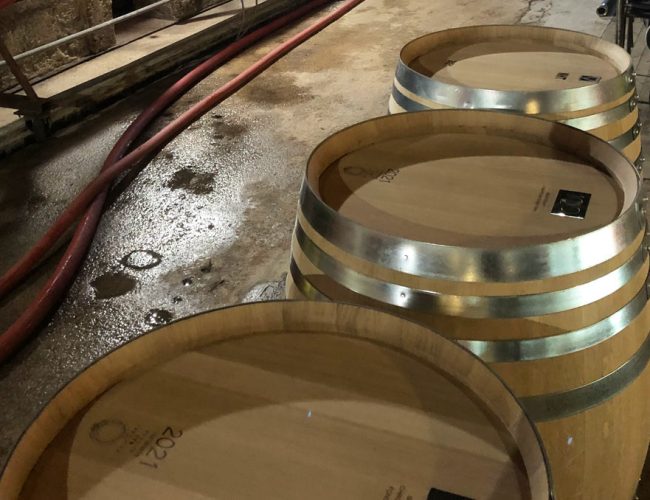 cave-domaine-de-salies2