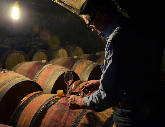 Vinification domaine de Saliès