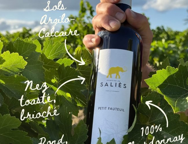 petit fauteuil blanc